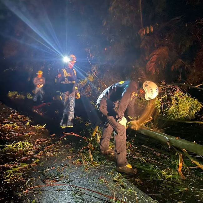 Unidades bomberiles removiendo árboles caídos entre Pensilvania y Manzanares, al oriente de Caldas. Foto: Cuerpo Voluntario de Bomberos de Pensilvania.