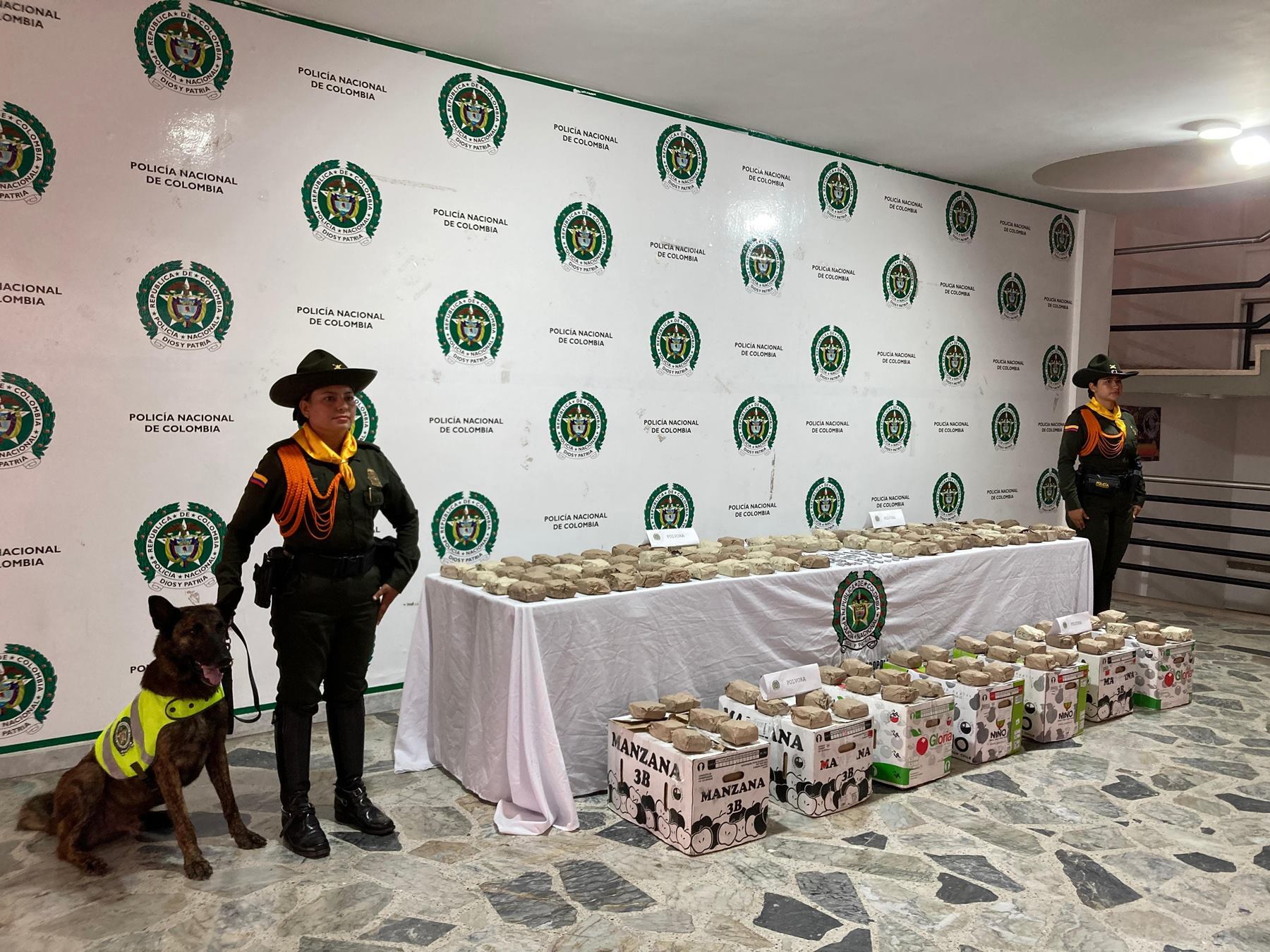 Incautación de pólvora en Ibagué