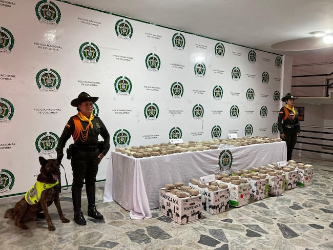 Incautación de pólvora en Ibagué