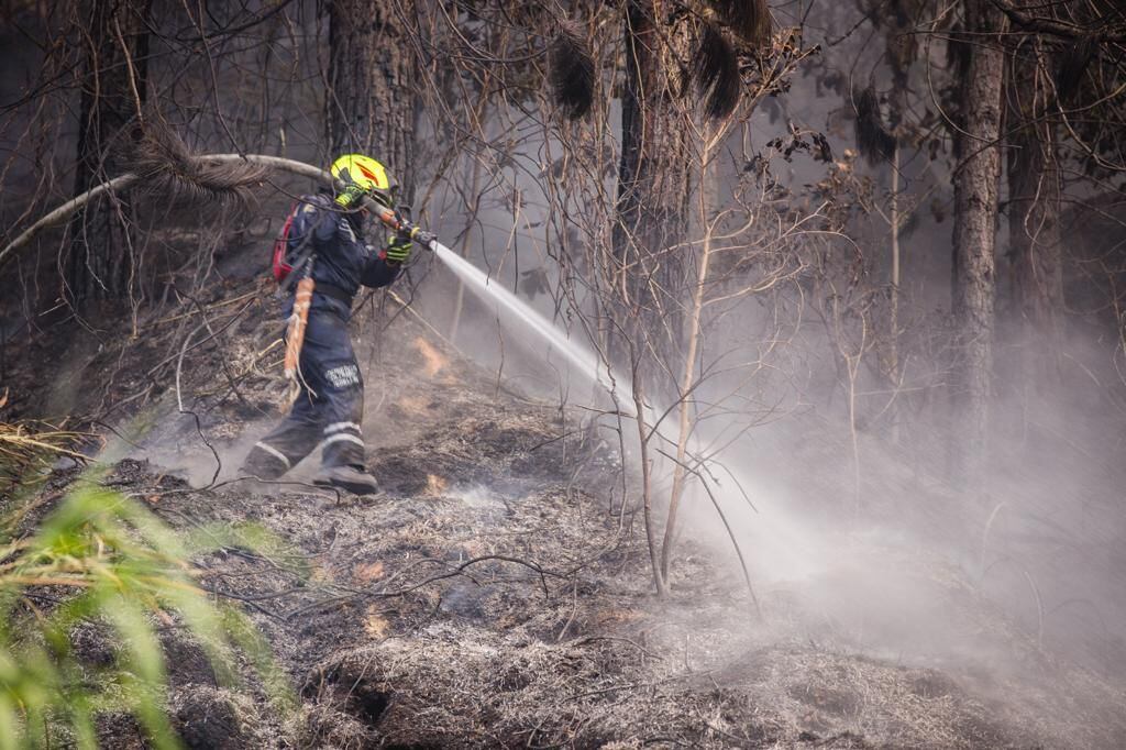 Incendios en Medellín / Foto: alcaldía de Medellín.