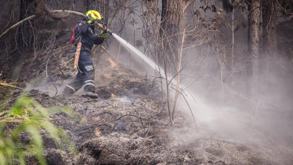 Organismos de socorro están en alerta por incendios forestales en Cúcuta