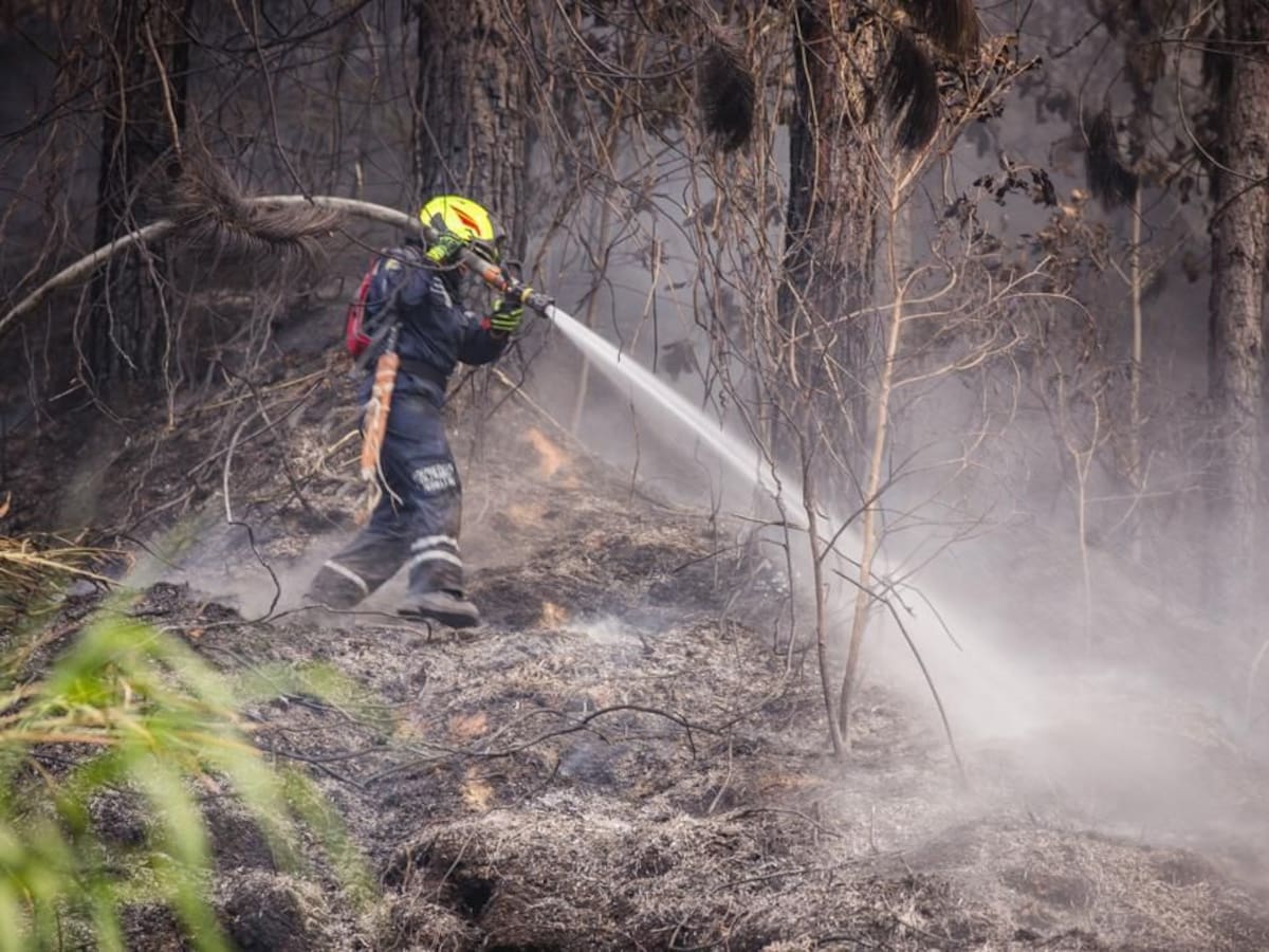 Durante el 2024 se han atendido 103 incendios forestales en Medellín