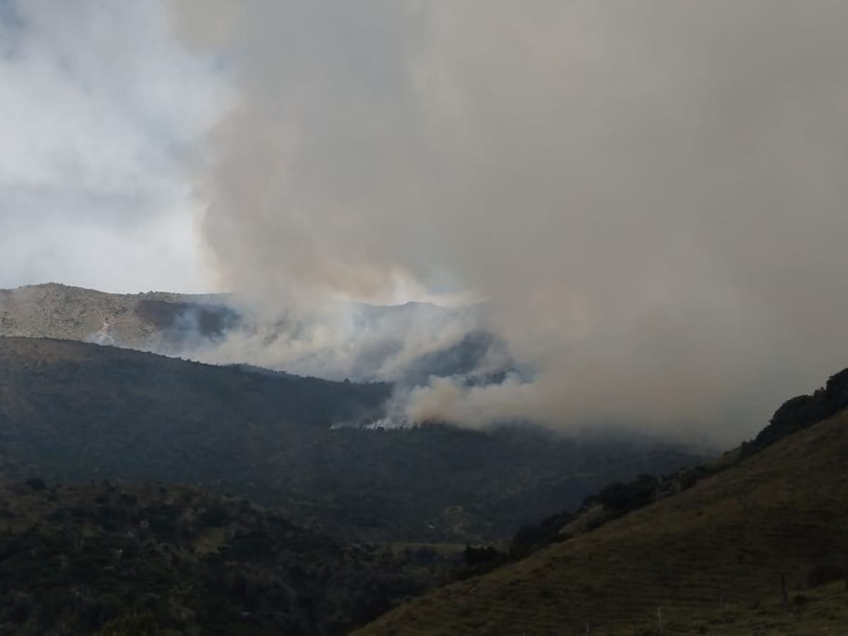 Se controló incendio que afectó 200 hectáreas del Parque Nacional Natural Los Nevados