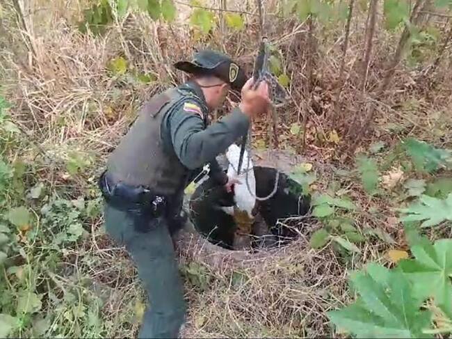 El canino de raza criolla fue devuelto a sus propietarios sano y salvo y ya se encuentra junto con ellos en su lugar de residencia.