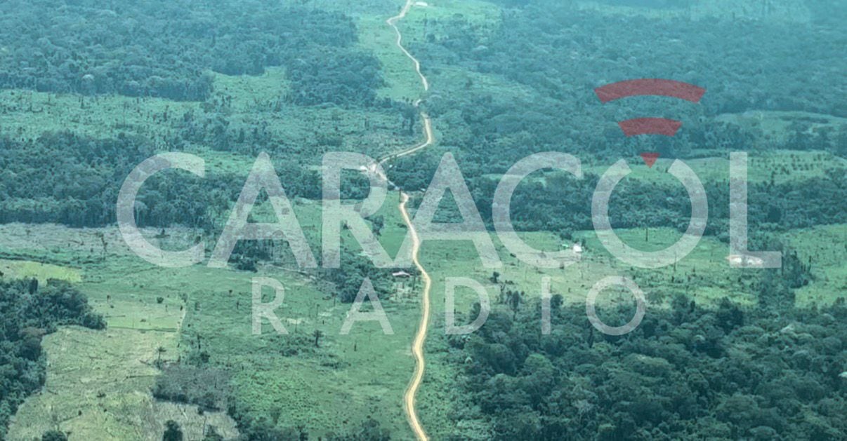 Así se ven las “autopistas” del narcotráfico en Guaviare. Fotos: suministradas.