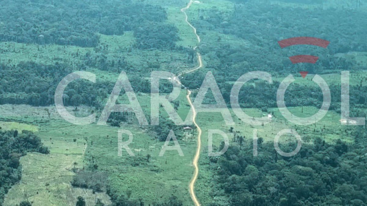 En video: así se ven las “autopistas” del narcotráfico en Guaviare