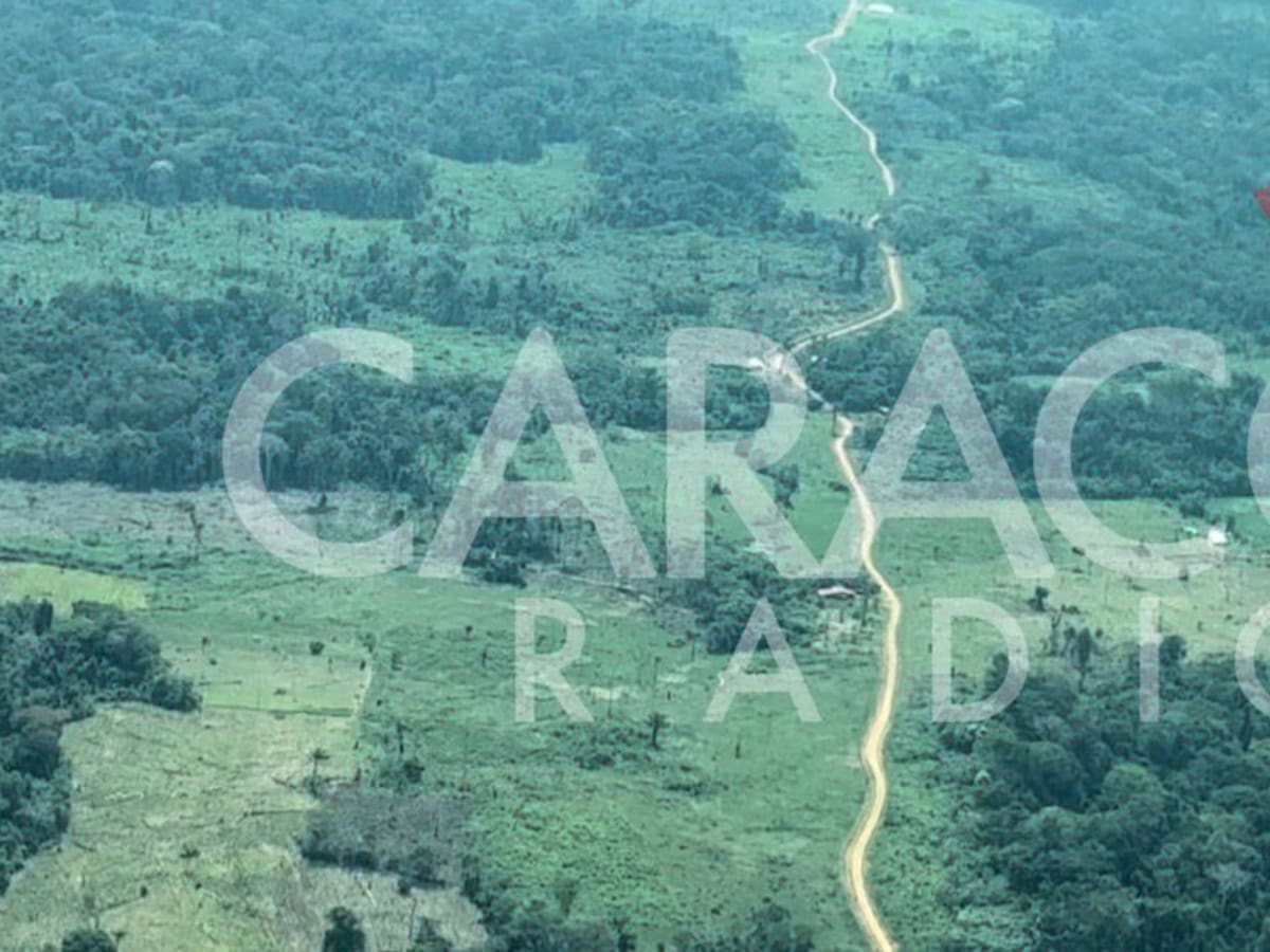 En video: así se ven las “autopistas” del narcotráfico en Guaviare