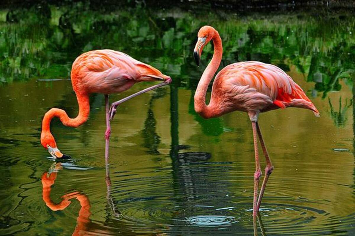 Como la única agencia de viajes con triple certificación Icontec, además de pertenecer a la ANATO, Guajira Tours ofrece las mejores experiencias del norte del país.