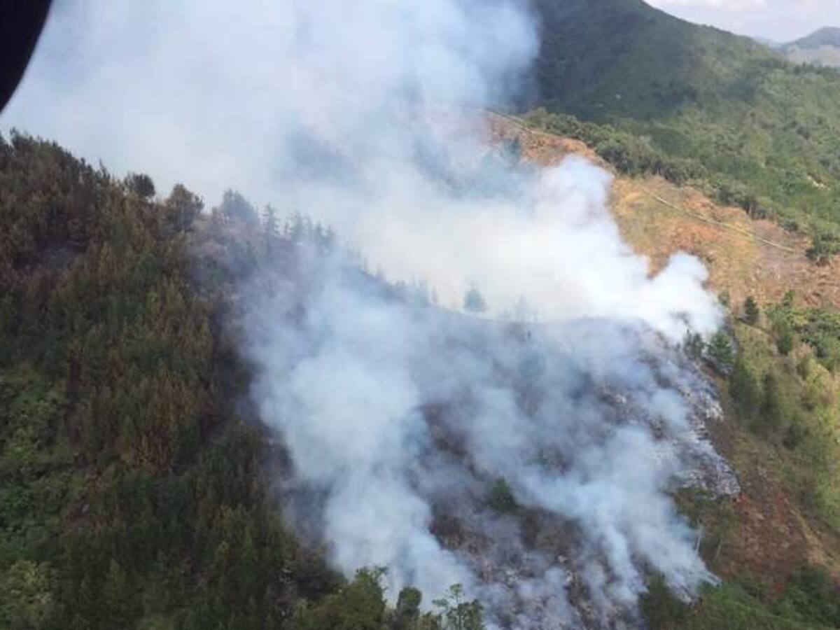 En libertad queda mujer de 62 años quien fue sorprendida haciendo quemas en cerros orientales