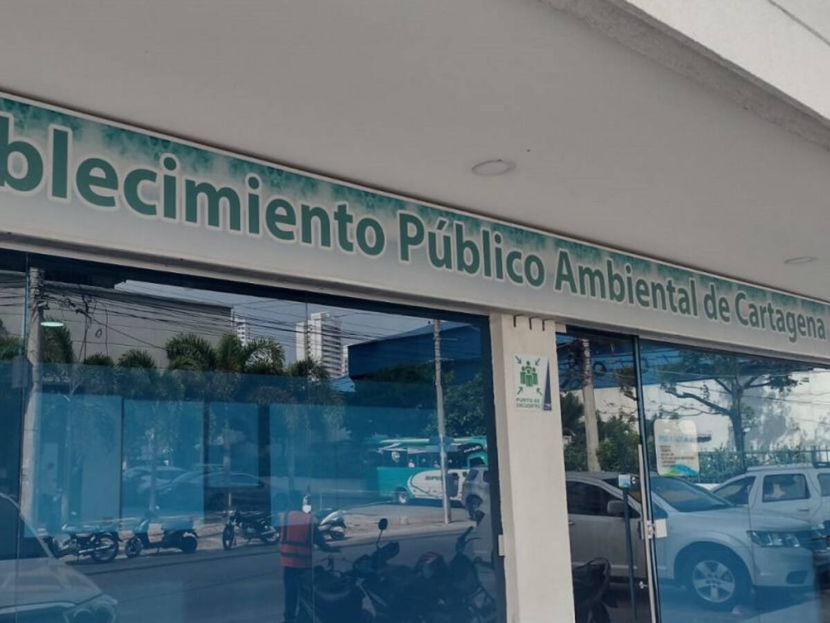 EPA investiga presunto envenenamiento de árboles en Castillogrande