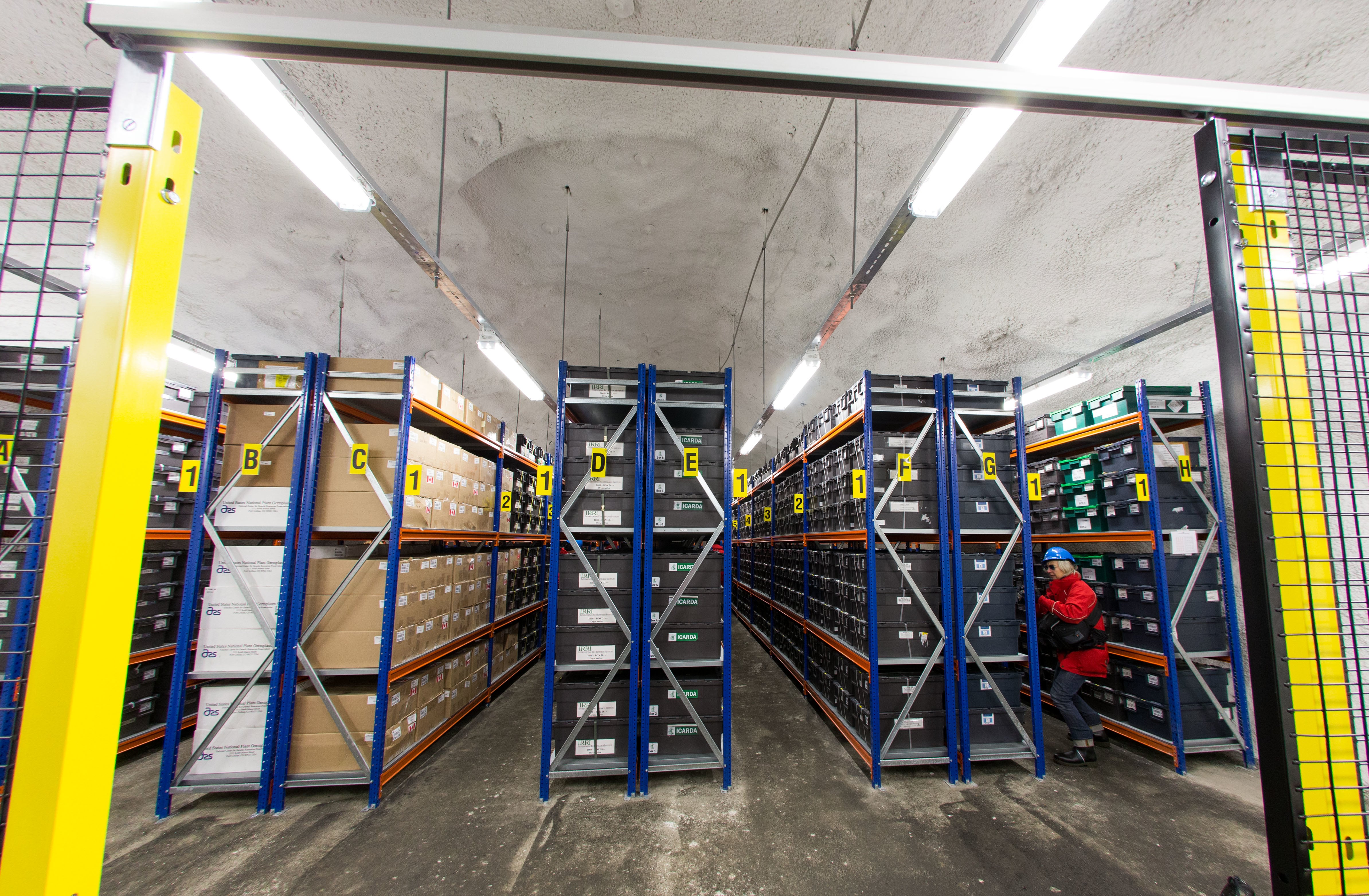 Así son las plantas en donde se almacenan las semillas en la Bóveda. Foto: Getty Images.