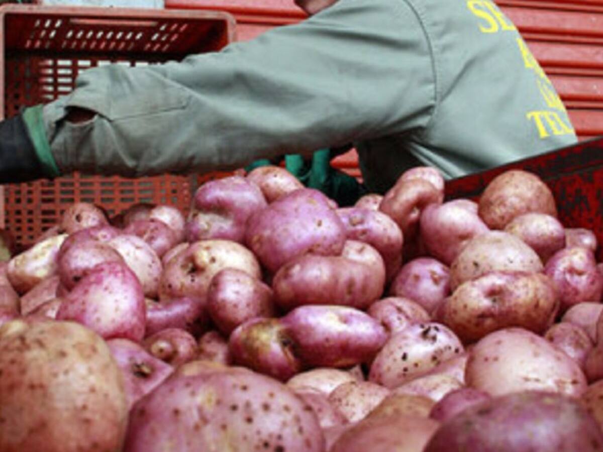 El precio de la papa sigue a la baja