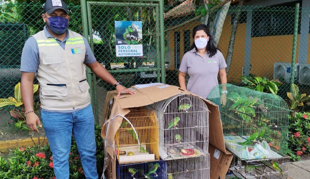 A este lugar han llegado reptiles, aves y mamíferos, los cuales 105 han sido entregados voluntariamente