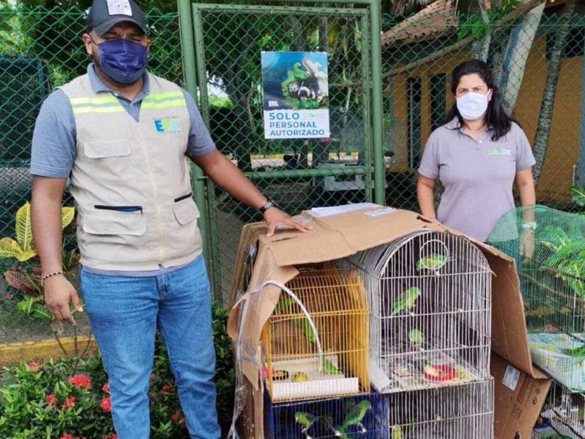 Centro de Atención de Fauna Silvestre ha beneficiado 2.426 animales