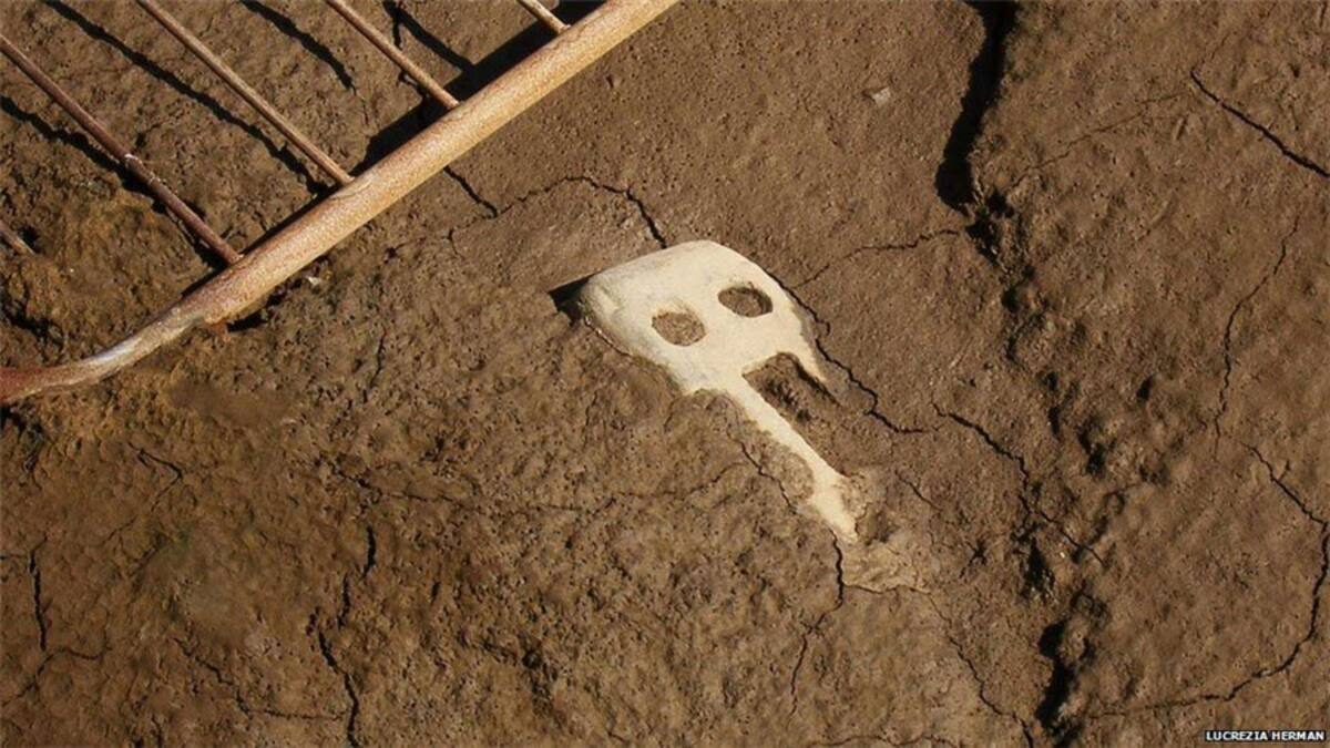 Desde Italia David Bradbury mandó esta imagen de máscaras hechas de masa de pan en Venecia. ¡Anímate a enviar tus imágenes!