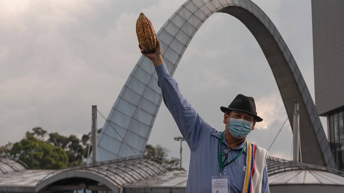 Ya llega Chocoshow 2022. Les anticipamos los atractivos