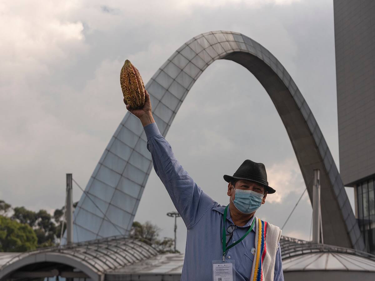 Así será el Chocoshow 2022, gran espectáculo alrededor del cacao y el chocolate