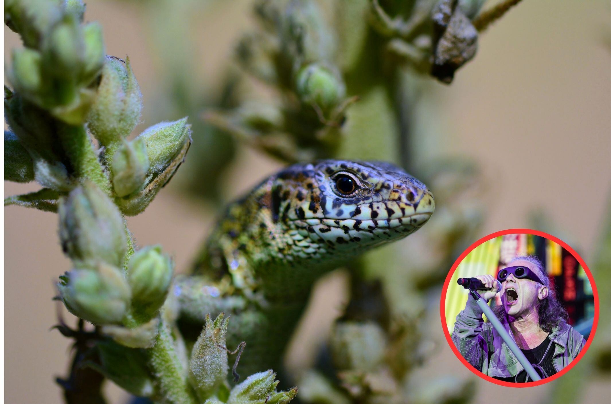 Imagen de referencia / Getty Images