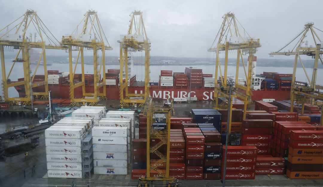 Imagen de referencia