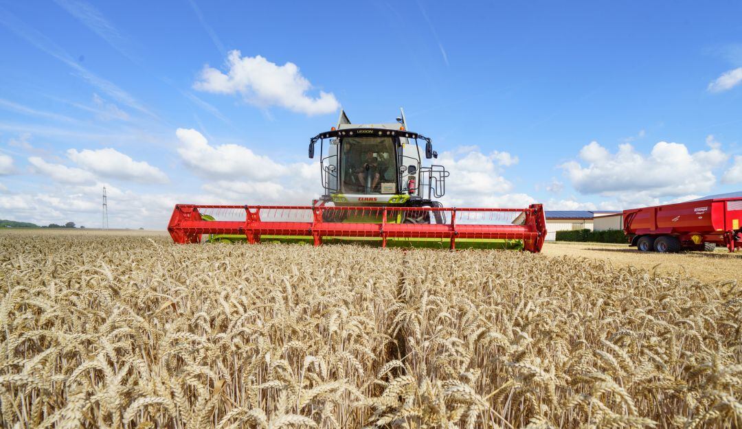 Decretos establecen aranceles de 0% en importación de trigo y fertilizantes