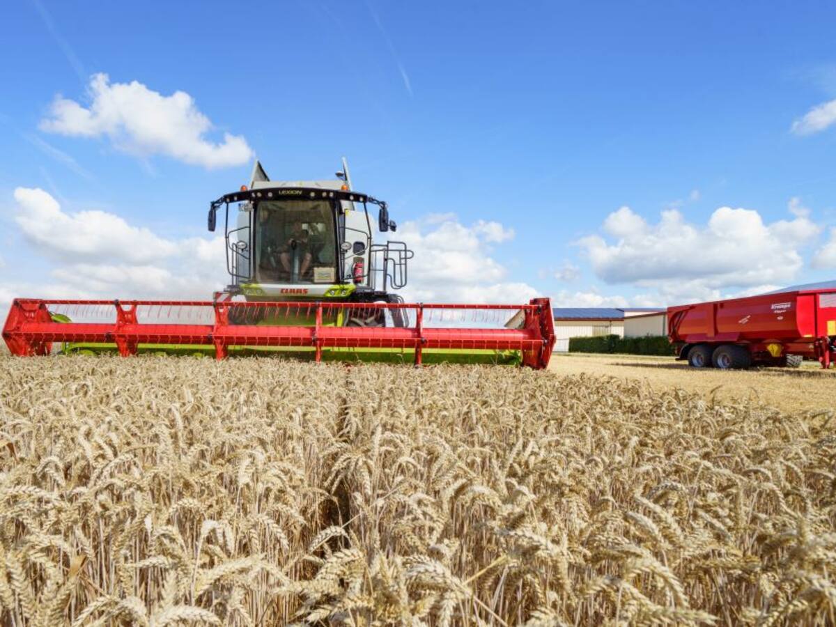 Decretos establecen aranceles de 0% en importación de trigo y fertilizantes