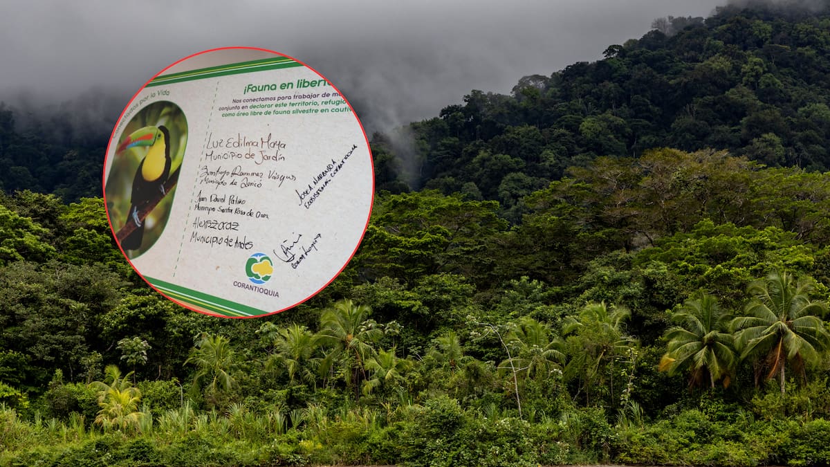 Corantioquia comenzó la declaración de nuevas áreas libres de fauna silvestre en cautiverio