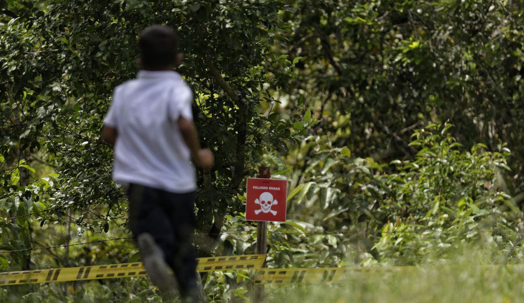 Imagen de referencia. 