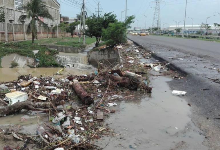 Imagen de referencia