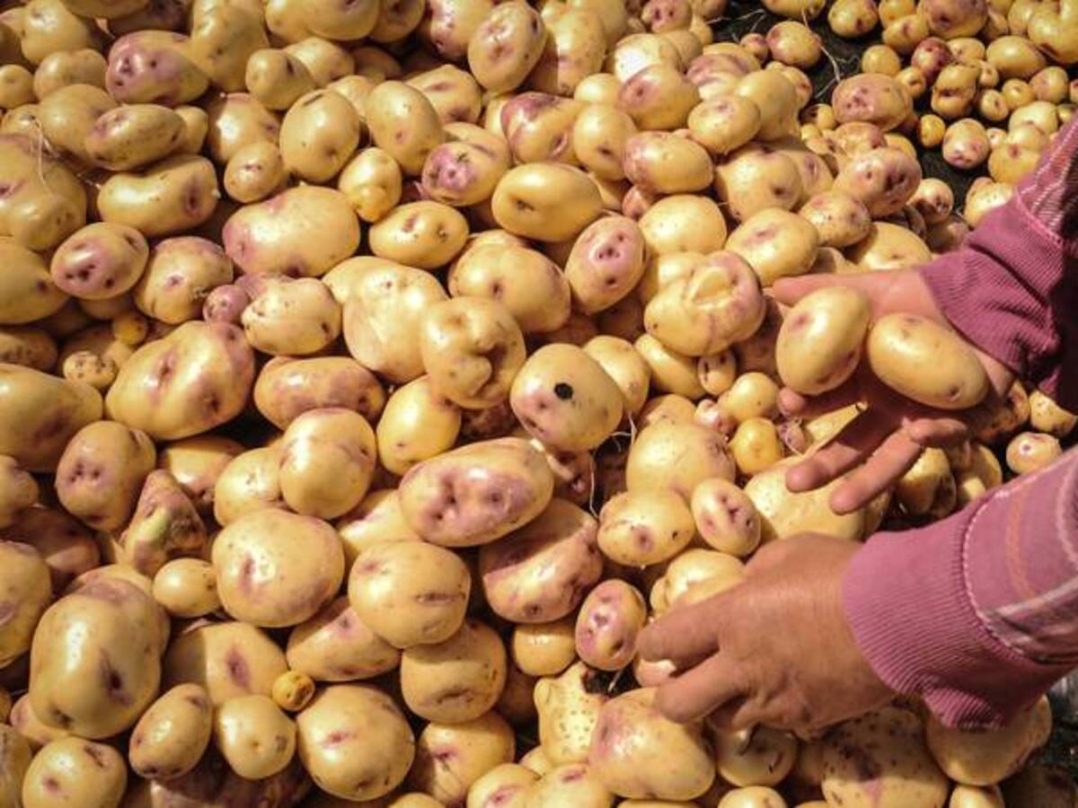 Acuerdo para congelar precios de alimentos en diciembre está casi listo