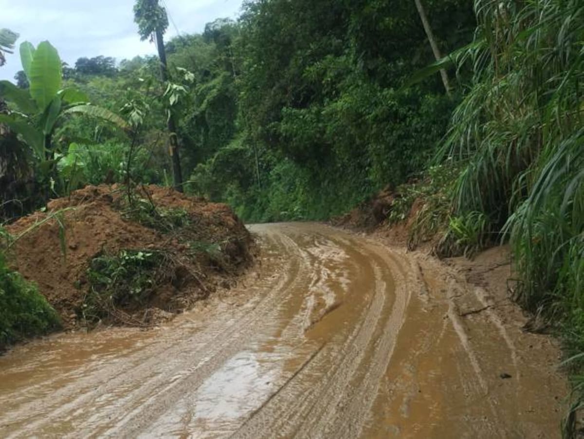 Paso a un carril en sector de las Peñas
