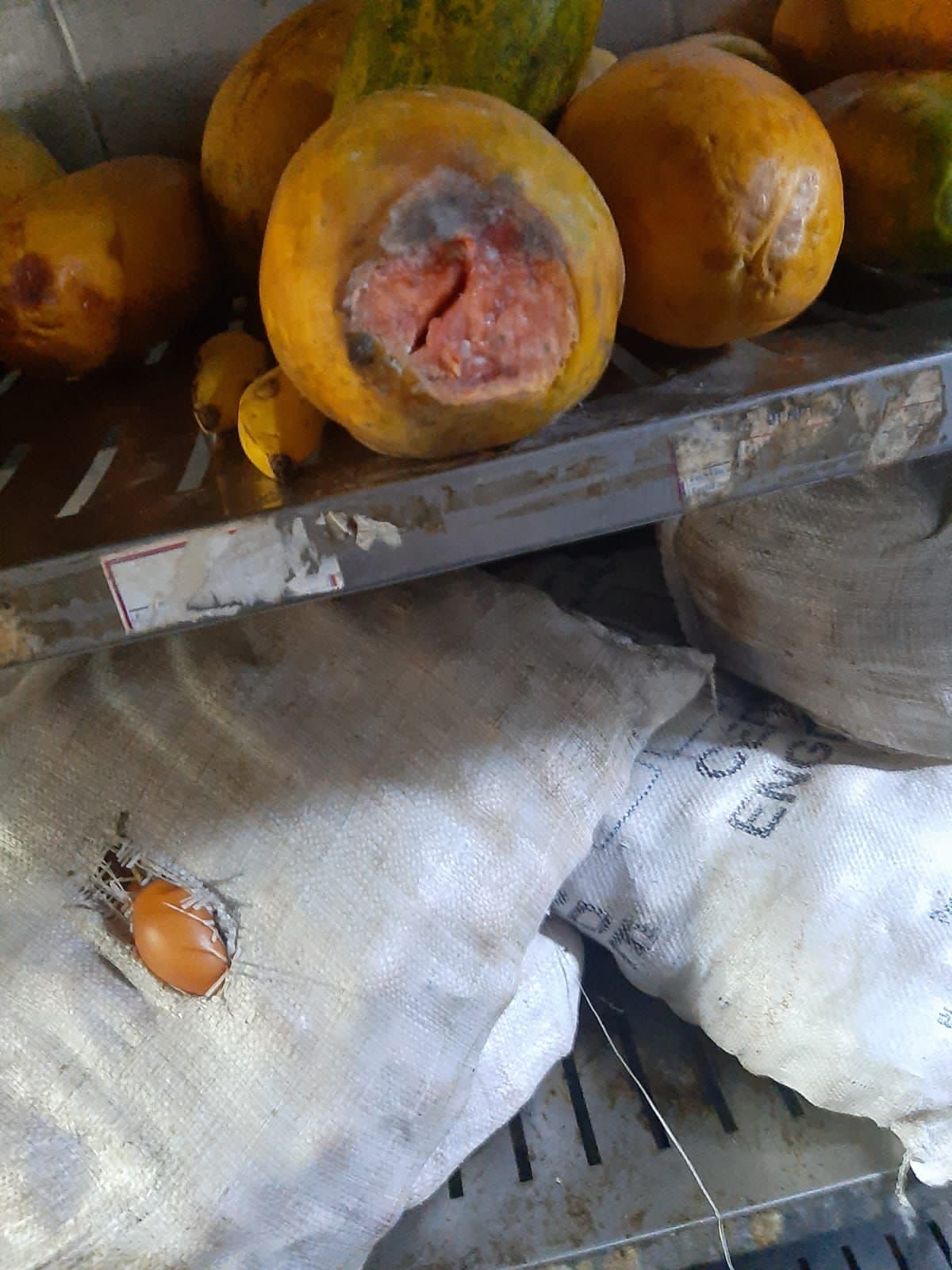 Una grave problemática ha sacado a la luz la Procuraduría General de la Nación con relación a la alimentación que se les está ofreciendo a los internos de la cárcel.