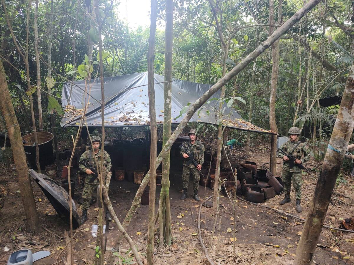 Por primera vez, Ejército desmanteló laboratorio de permanganato de potasio