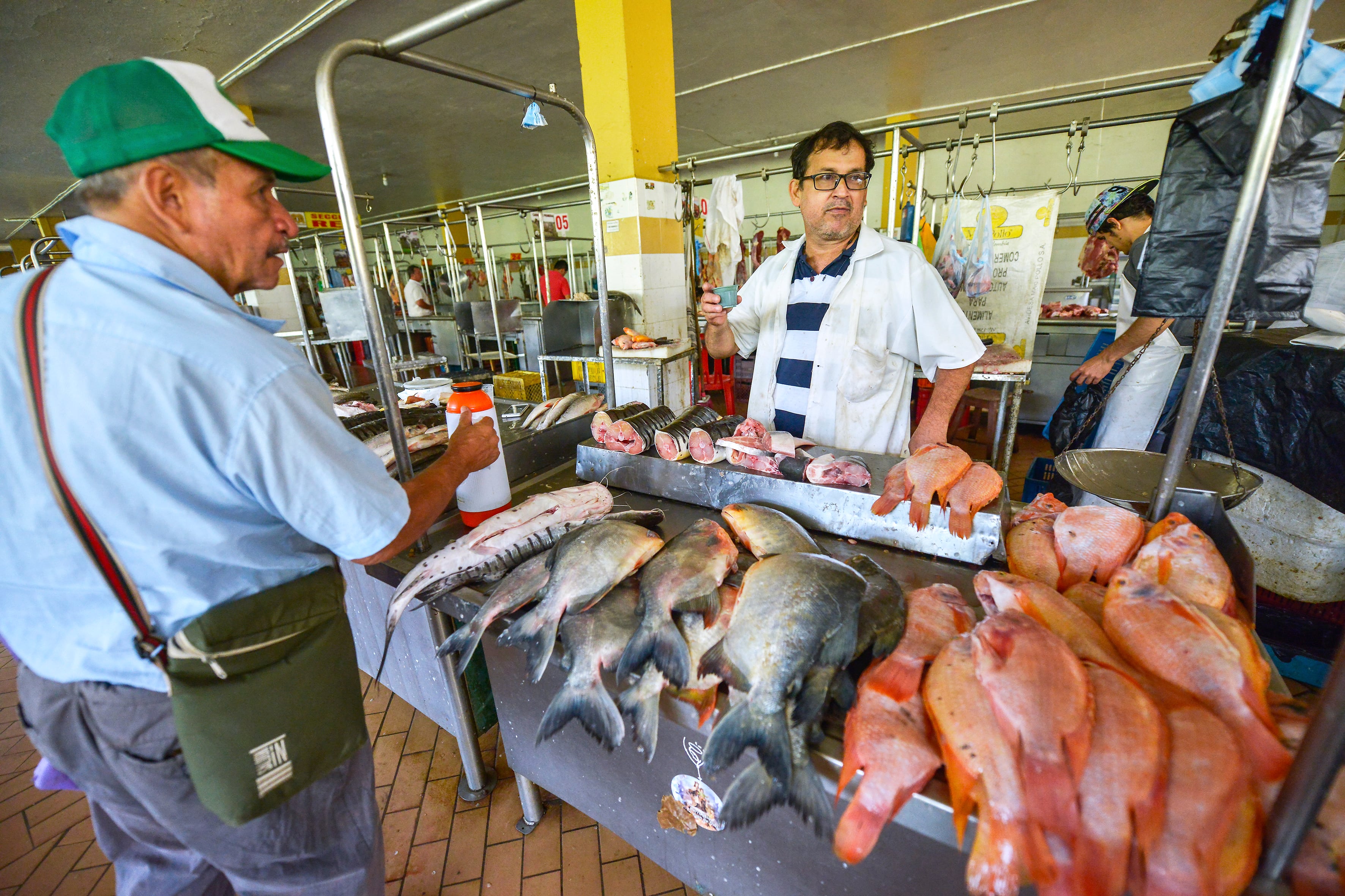 Venta de pescado en Colombia, imagen de referencia. Foto: Getty Images.