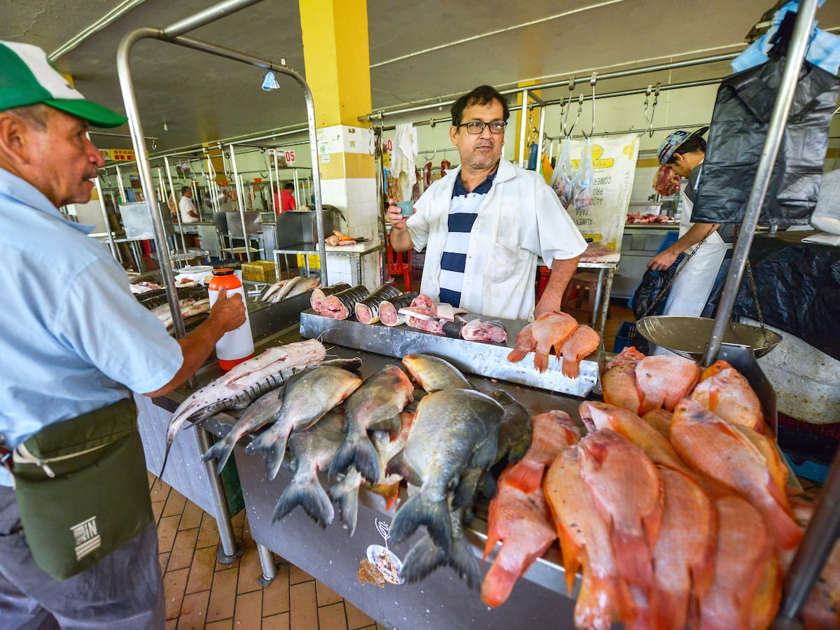 ¿Va a comprar pescado en Semana Santa? Trucos efectivos para identificar si está dañado o fresco