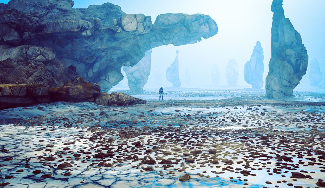 Imagen de referencia