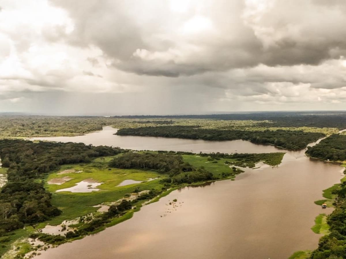 Agencias Nacional de tierras entregó más de medio millón de hectáreas en la Amazonía