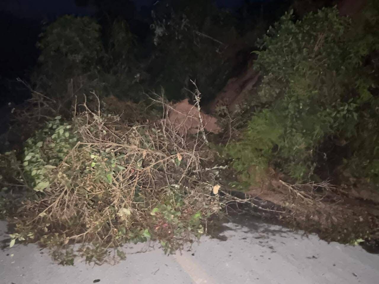 Derrumbes tienen incomunicado al municipio de Nariño. Foto: Cortesía.