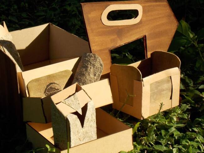 Con residuos de plátano, estudiante desarrolla materia prima para empaques