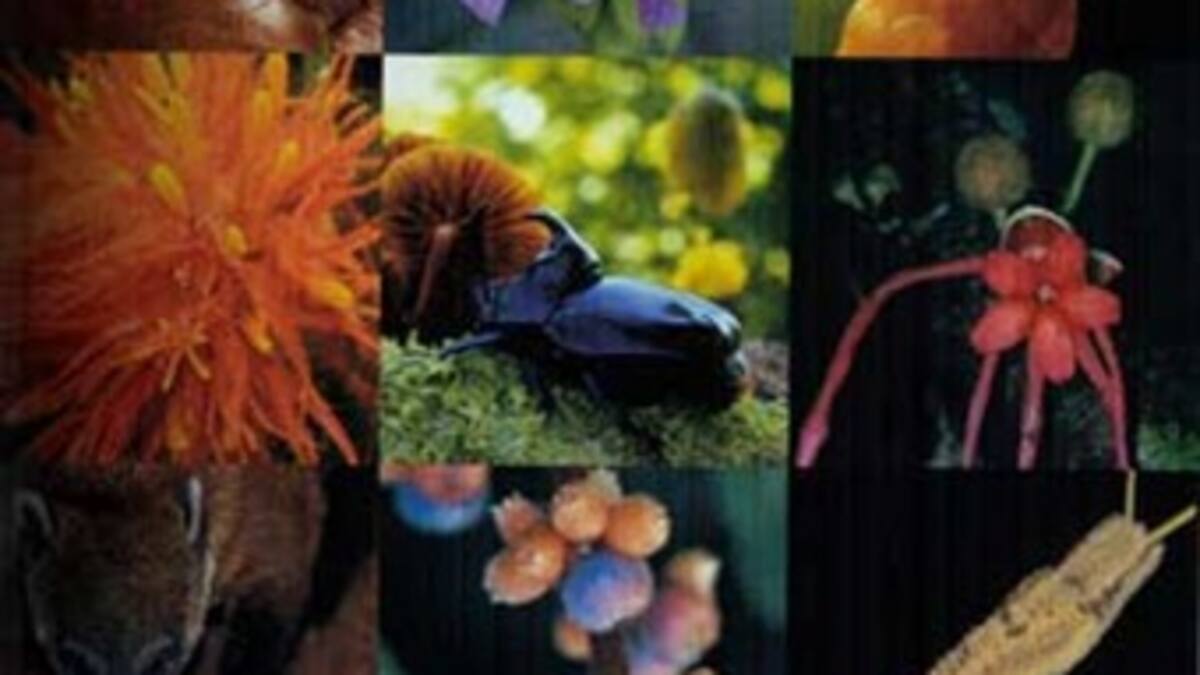 Información de colecciones biológicas se sistematizan en universidad del país para interés de usuarios