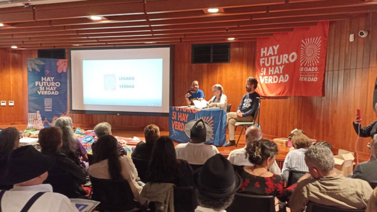 Lucía Gonzáles, Comisionada, Comisión de la Verdad