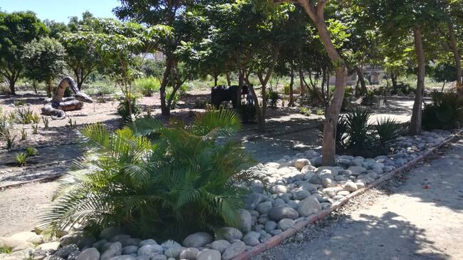 Sendero ecológico en el malecón de Cúcuta en las inmediaciones del puente Benito Hernández