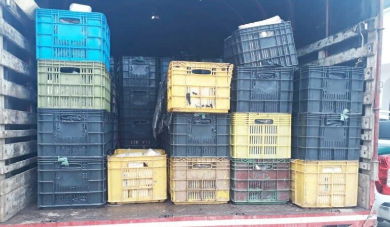 Dos toneladas de queso incautados por la Policía en Chinacota