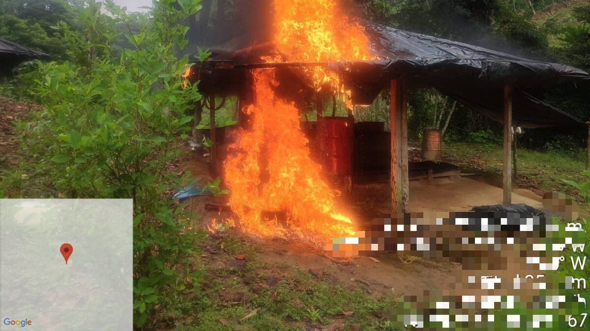 El Ejército destruyó seis laboratorios de cocaína del Clan del Golfo