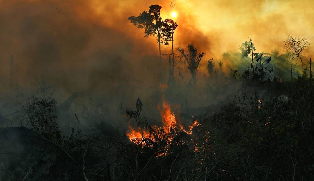 Incendios en la Amazonía brasileña.              Foto: Getty 