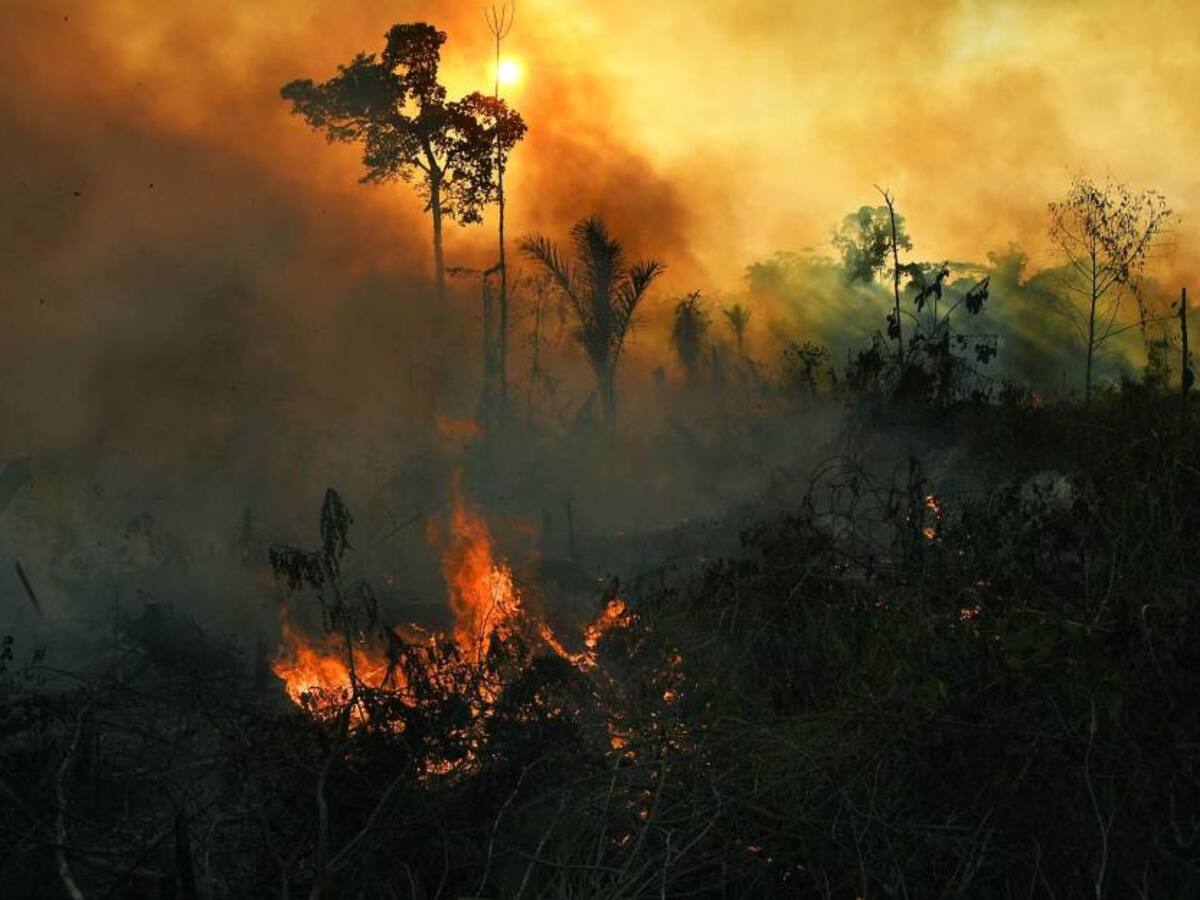 Incendios en Amazonía brasileña alcanzan nuevo récord