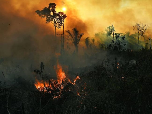 Incendios en la Amazonía brasileña.              Foto: Getty 