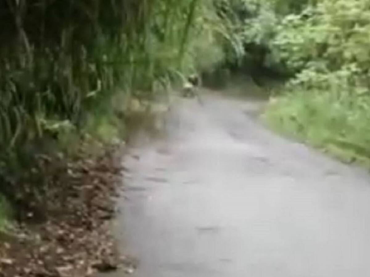 Volcamiento de vehículo en Morrogacho, Manizales dejó una persona muerta