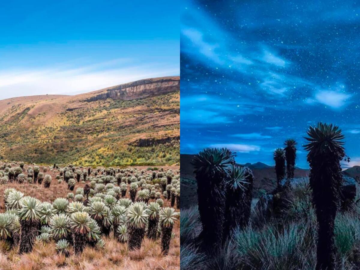 ¿Cuál es el páramo más hermoso de Colombia? Es uno de los más bellos del mundo
