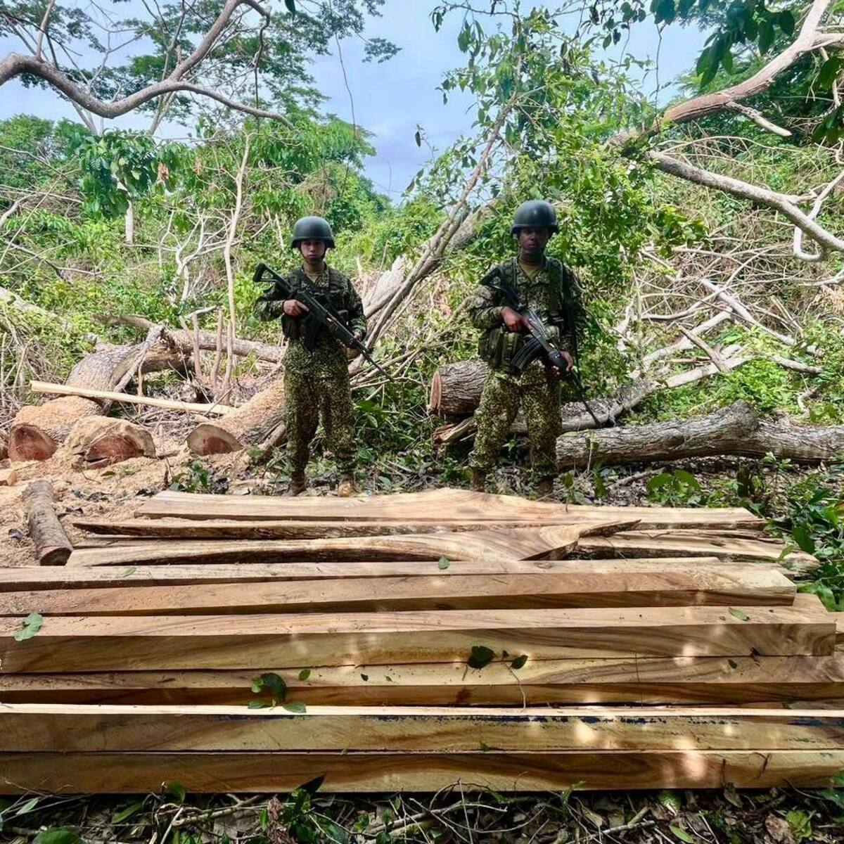 Armada de Colombia incautó madera ilegal tras operativos en Bolívar