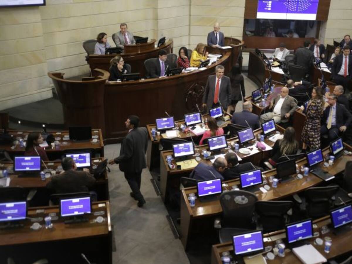 Lista la propuesta para evitar el IVA a la canasta familiar